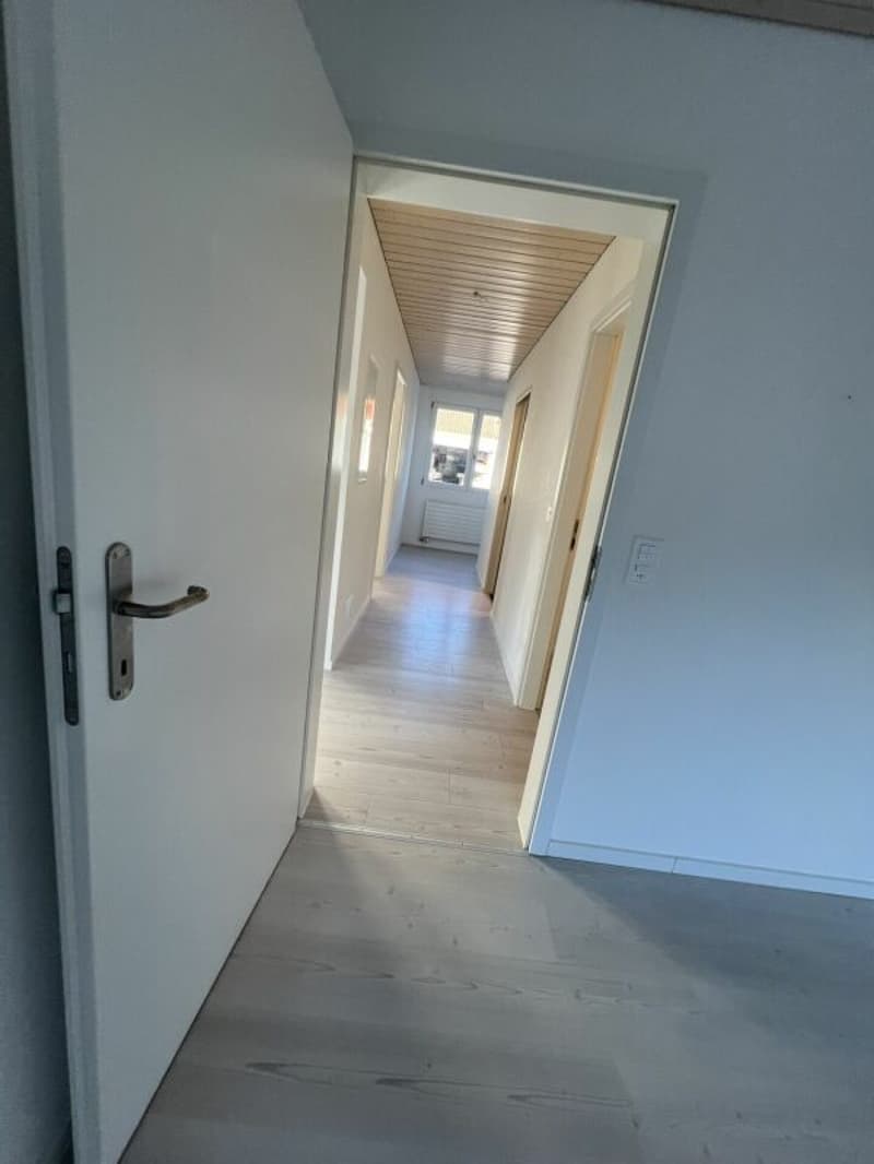 3.5 Zi sonnige Gartenwohnung (17)