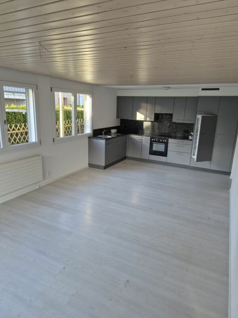 3.5 Zi sonnige Gartenwohnung (9)