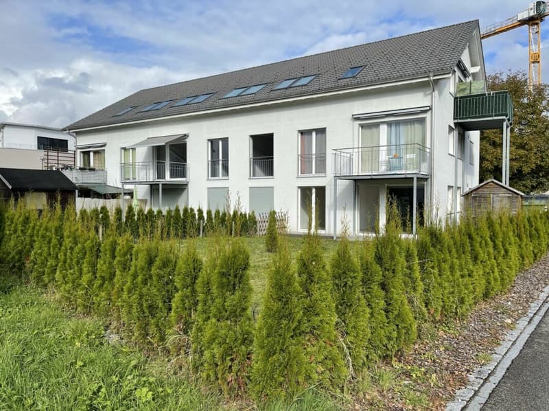 3.5 Zi sonnige Gartenwohnung (4)