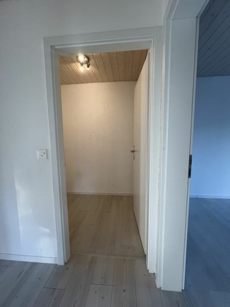 3.5 Zi sonnige Gartenwohnung (19)