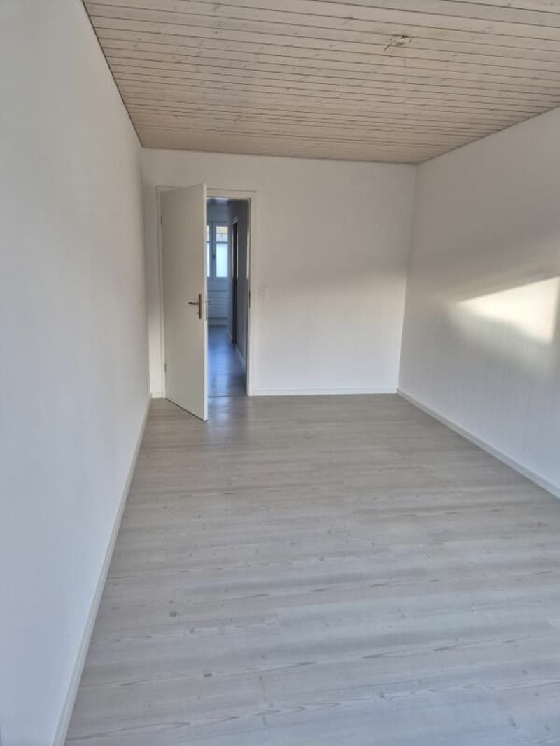 3.5 Zi sonnige Gartenwohnung (13)