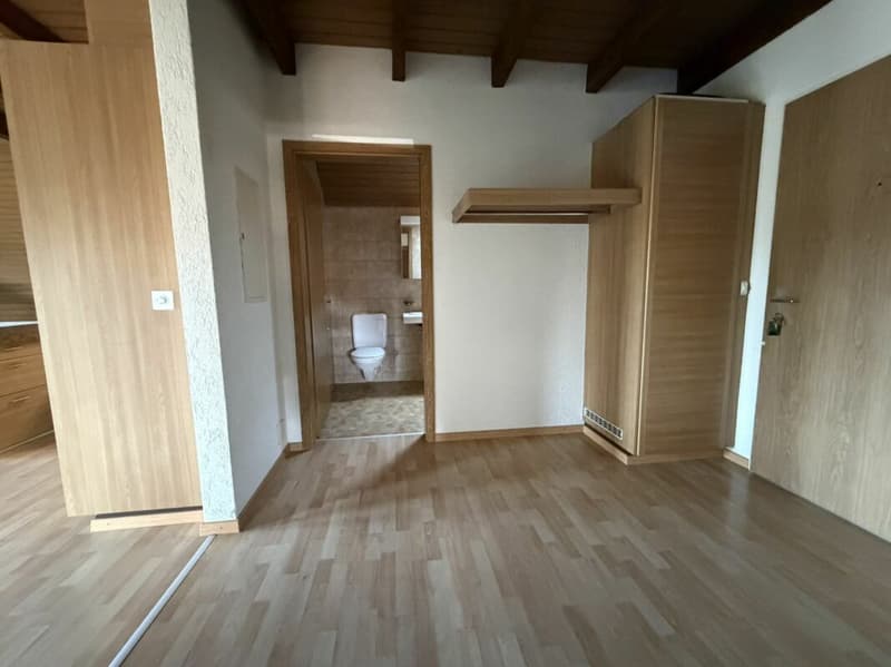 Ampio 4,5 locali per 5-15 mesi (9)