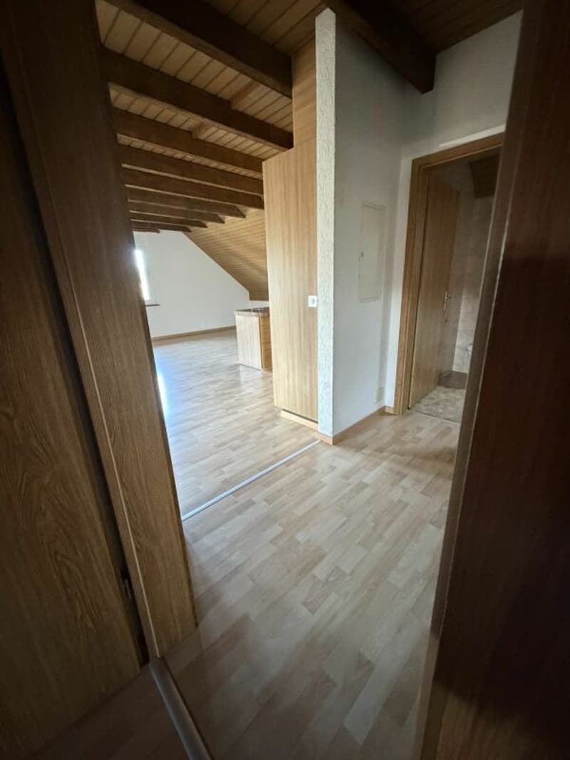 Ampio 4,5 locali per 5-15 mesi (8)