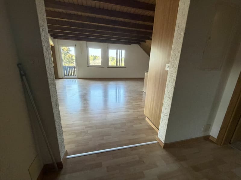 Ampio 4,5 locali per 5-15 mesi (13)