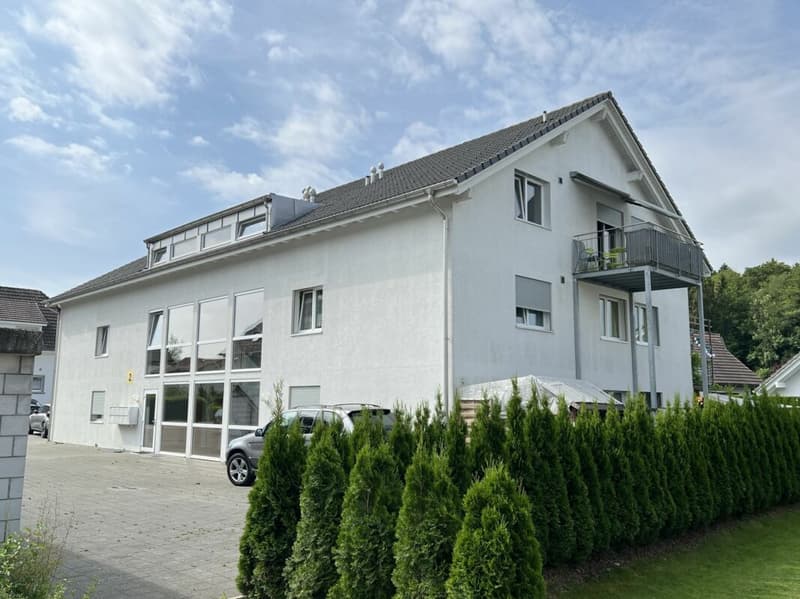 Appartement de 3,5 pièces lumineux (1)