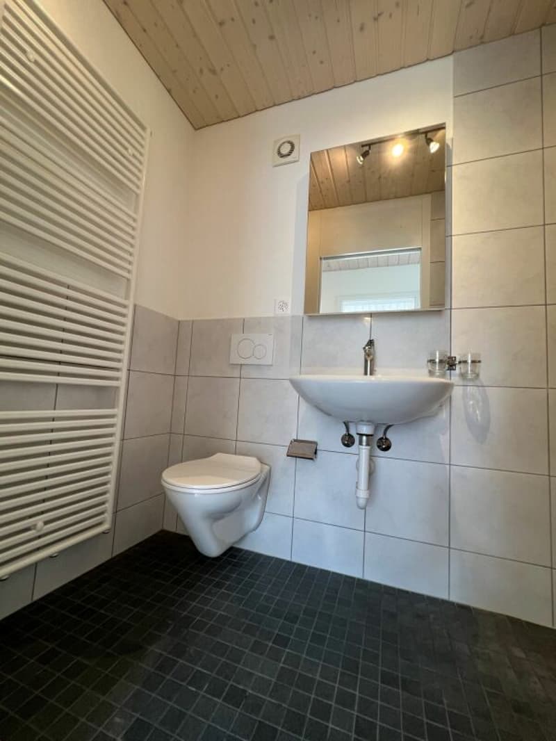 Appartement de 3,5 pièces lumineux (14)