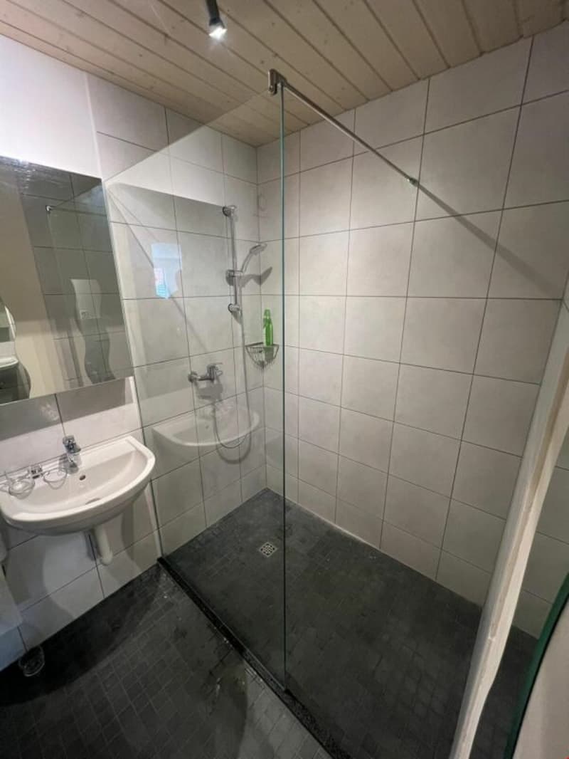 Appartement de 3,5 pièces lumineux (13)