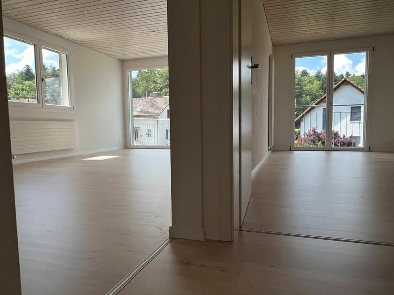 Appartement de 3,5 pièces lumineux (9)