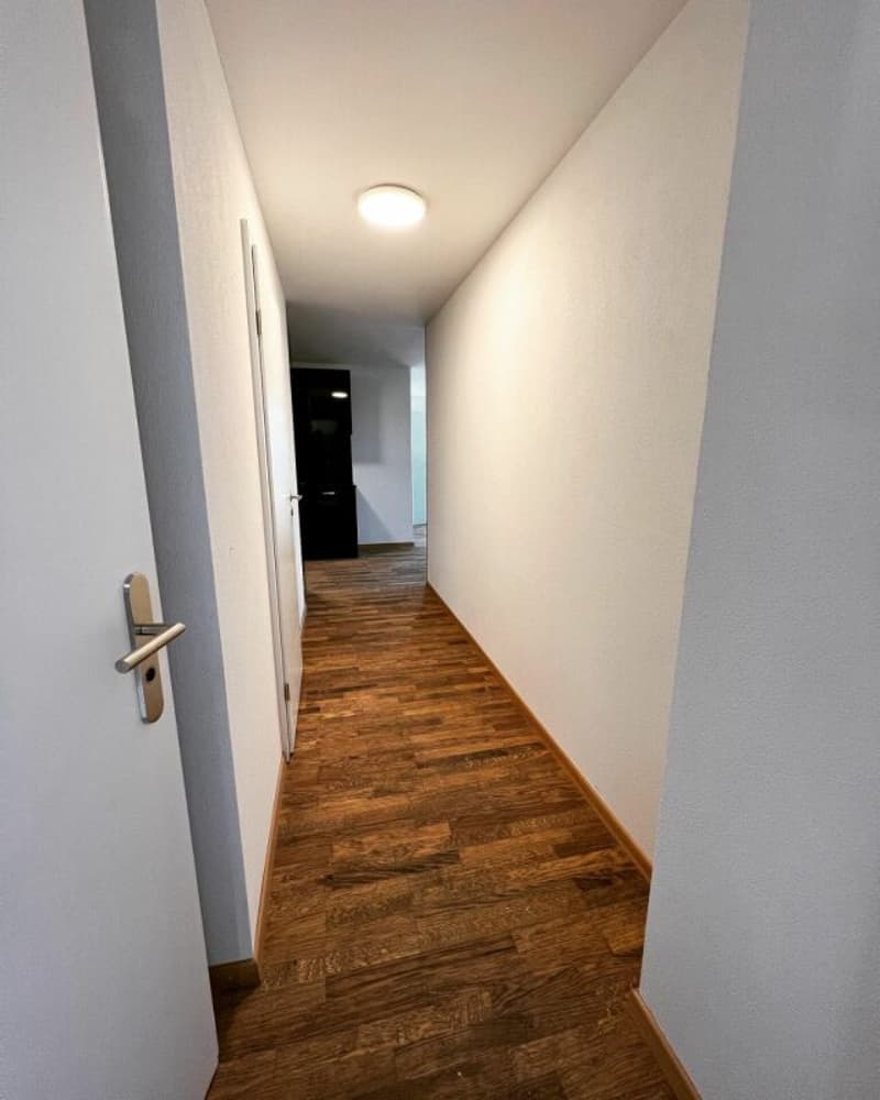 Appartement stylé de 2,5 pièces avec balcon et caractère en bois (15)