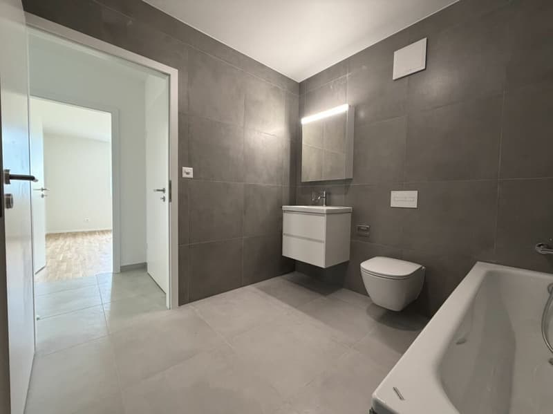 LE TOUT DERNIER APPARTEMENT 4,5 pièces en formule * Location - Achat * Vulliama (11)