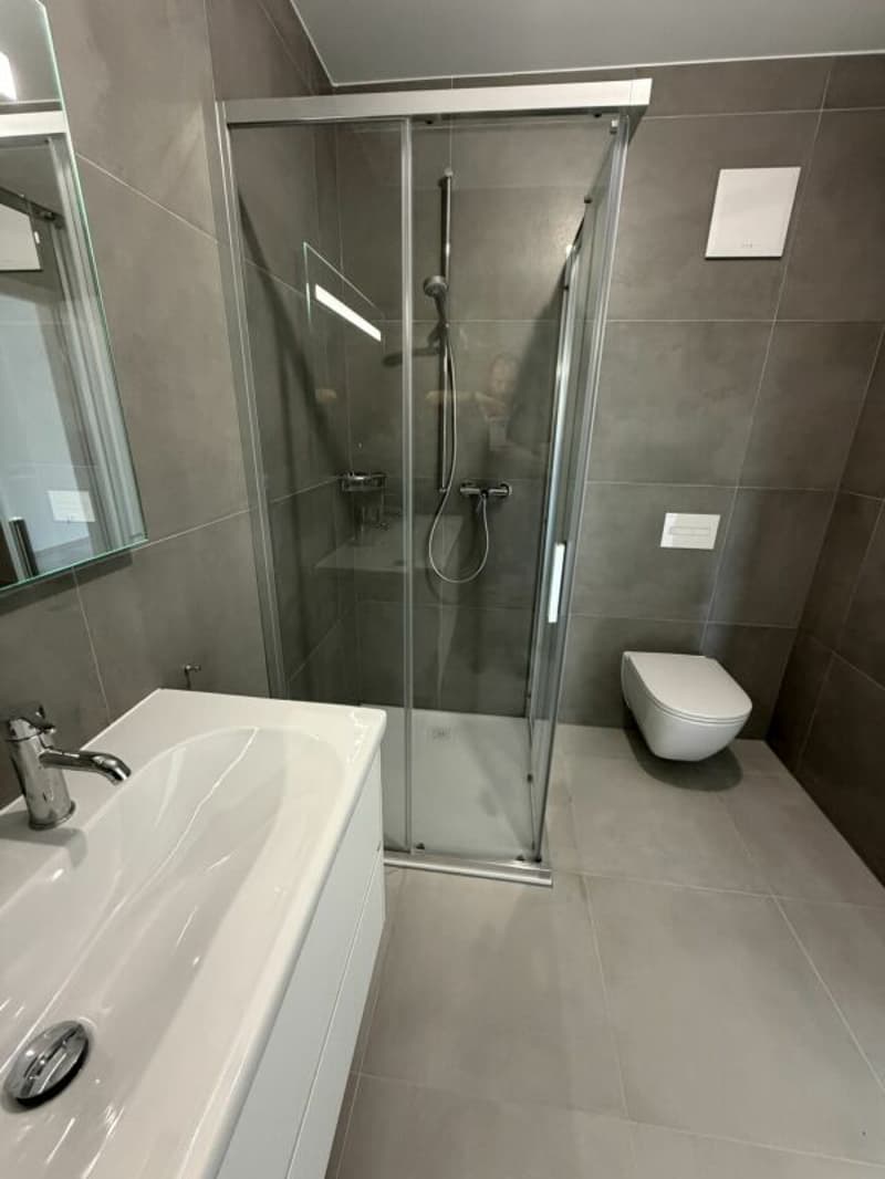 LE TOUT DERNIER APPARTEMENT 4,5 pièces de la promotion Vulliama (13)