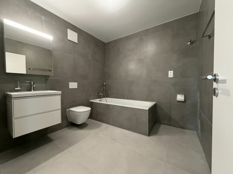 LE TOUT DERNIER APPARTEMENT 4,5 pièces de la promotion Vulliama (12)