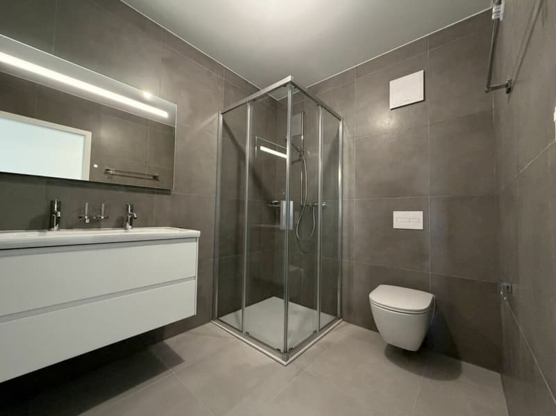LE TOUT DERNIER APPARTEMENT 4,5 pièces de la promotion Vulliama (14)