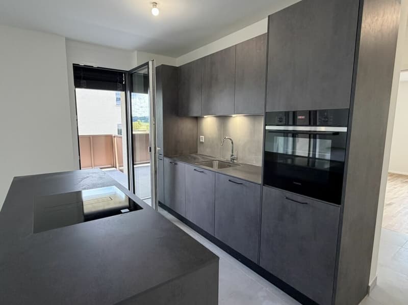 LE TOUT DERNIER APPARTEMENT 4,5 pièces de la promotion Vulliama (3)