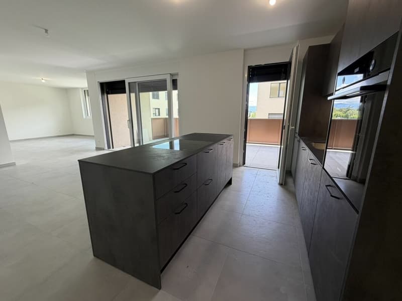 LE TOUT DERNIER APPARTEMENT 4,5 pièces de la promotion Vulliama (4)