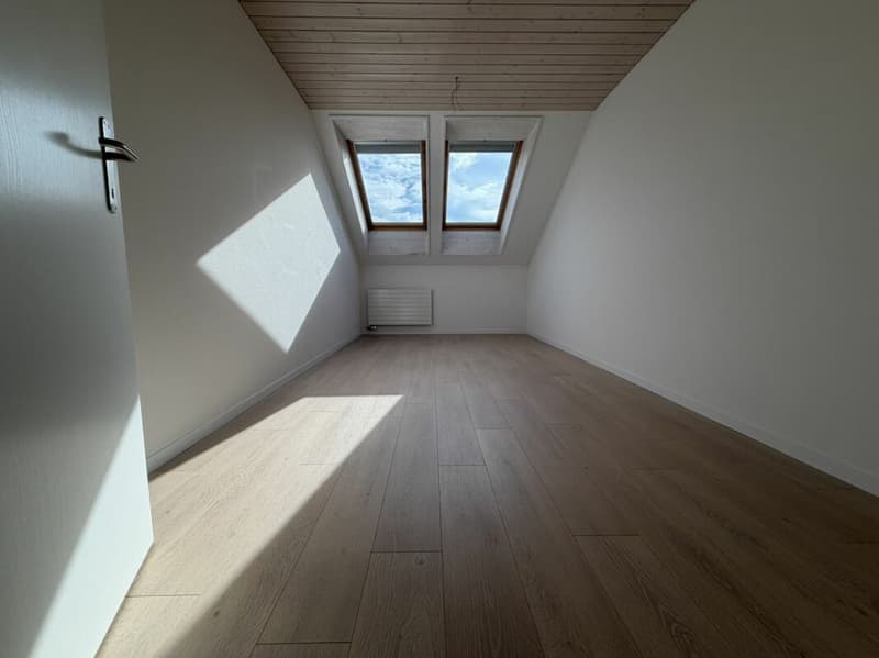 3.5 Zi helle Dach Wohnung (12)
