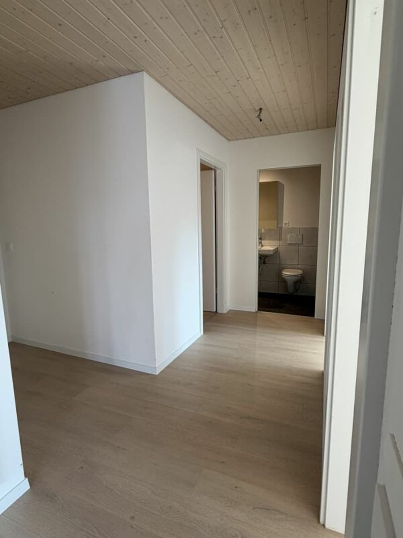 3.5 Zi helle Dach Wohnung (9)