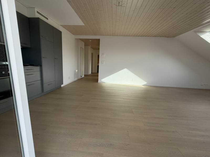 3.5 Zi helle Dach Wohnung (15)