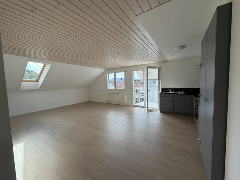 3.5 Zi helle Dach Wohnung (3)