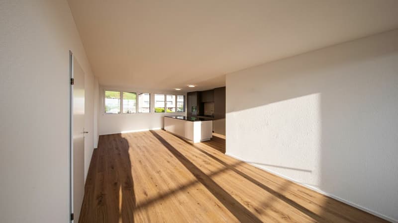 Stylische Penthouse Wohnung 2,5-Zi (5)