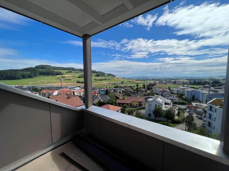 Stylische Penthouse Wohnung 2,5-Zi (1)