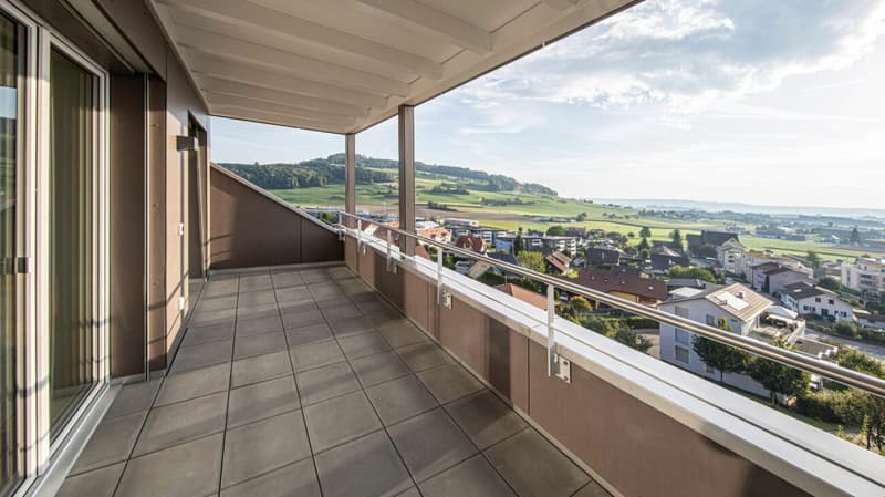 Stylische Penthouse Wohnung 2,5-Zi (1)