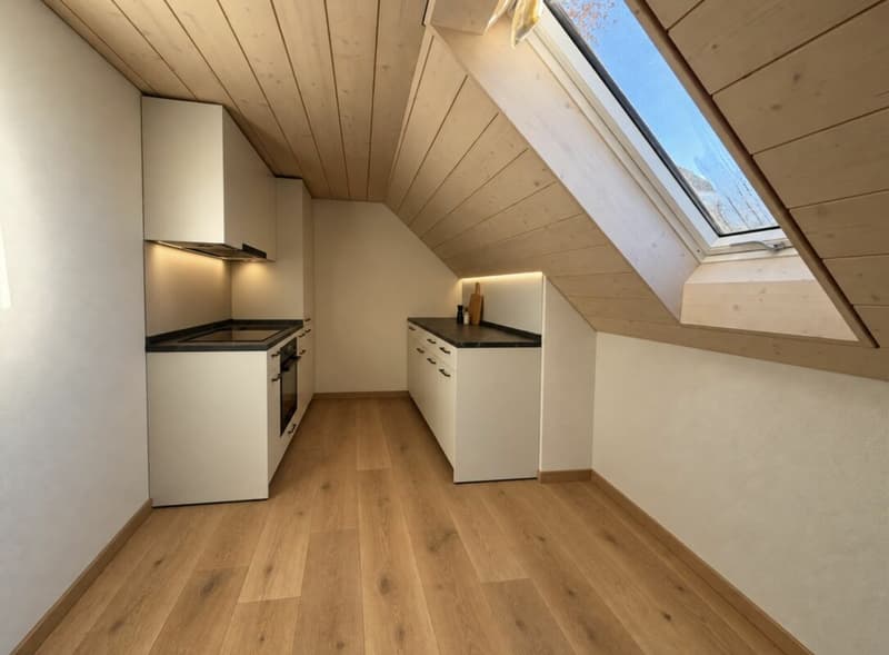 Erstbezug 5 Wohnungen in Bauernhaus (7)