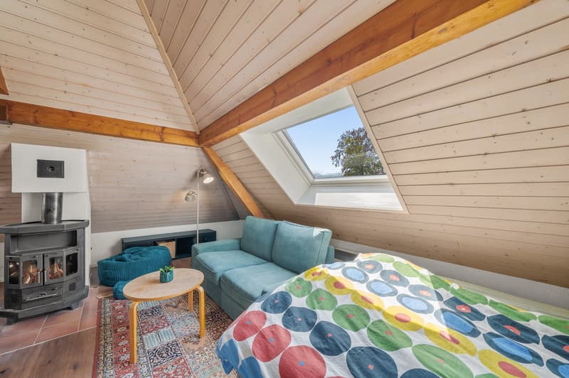 Charming house with independent studio - close to Pully and Lausanne city center (17)