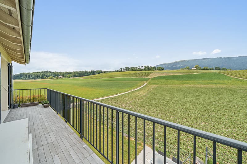 Prächtiges 5,5-Zimmer-Duplexappartement mit Balkon, Garten und superber Aussicht (2)
