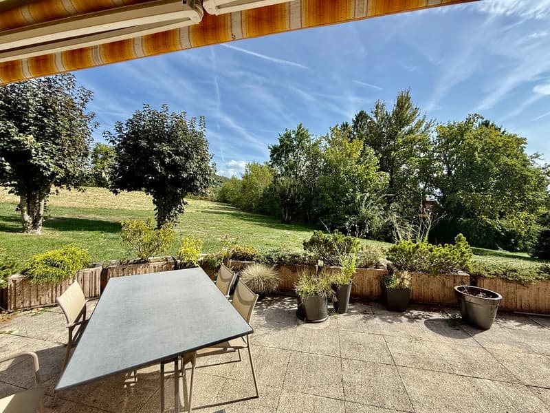 Charmant 2,5 pièces avec grande terrasse et belle échappée sur le lac et les montagnes (1)