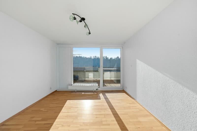 Renovierte 4.5-Zimmer-Wohnung mit grosszügigem Balkon, Lift und Garage (9)