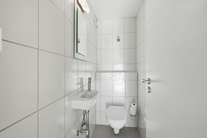 Renovierte 4.5-Zimmer-Wohnung mit grosszügigem Balkon, Lift und Garage (11)