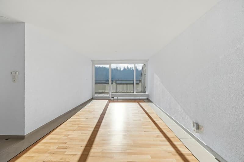 Renovierte 4.5-Zimmer-Wohnung mit grosszügigem Balkon, Lift und Garage (3)