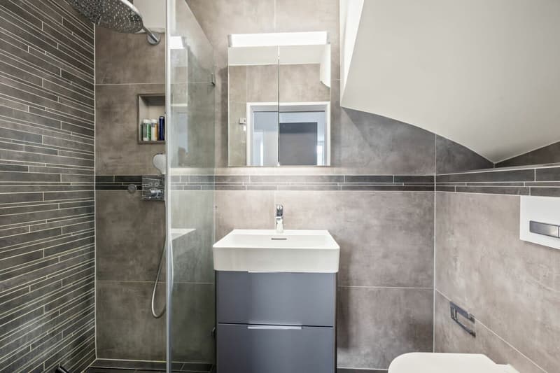Stylish living in Allschwil - Maisonette apartment with high-quality furnishings (5)