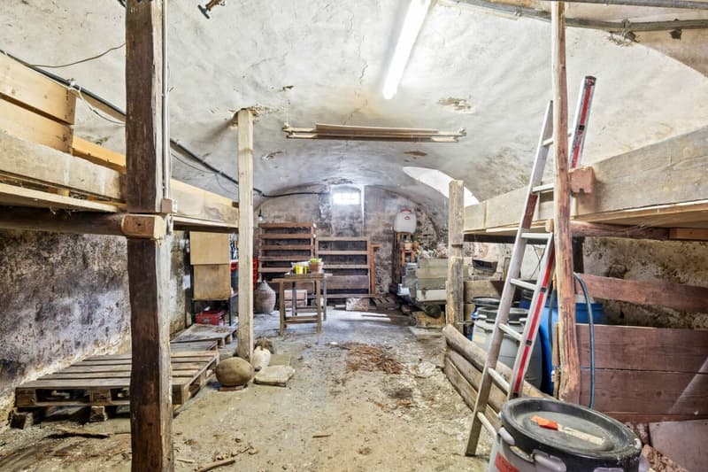 Living in the historic origin of Nusshof (18)