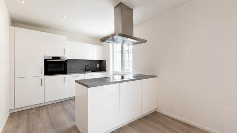 Appartamento spazioso con terrazza nel centro città (4)