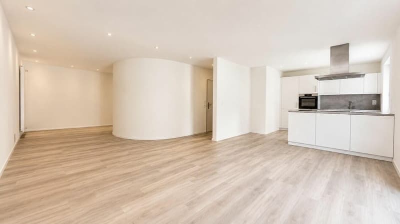 Appartamento spazioso con terrazza nel centro città (2)