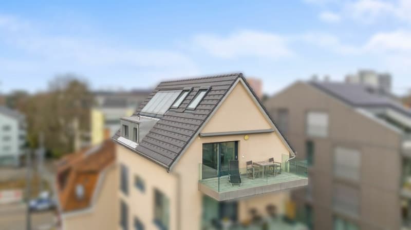Modernes Wohnen auf zwei Ebenen - Stilvolle Maisonettewohnung in Allschwil (13)