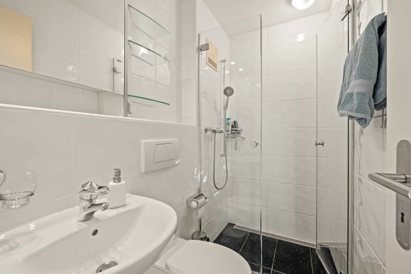 Grosszügiges 6.5-Zimmer Einfamilienhaus mit Pool & Wintergarten (11)