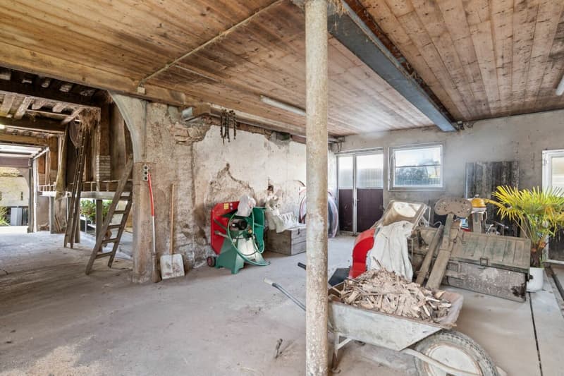 Wohnen im historischen Ursprung von Nusshof (23)