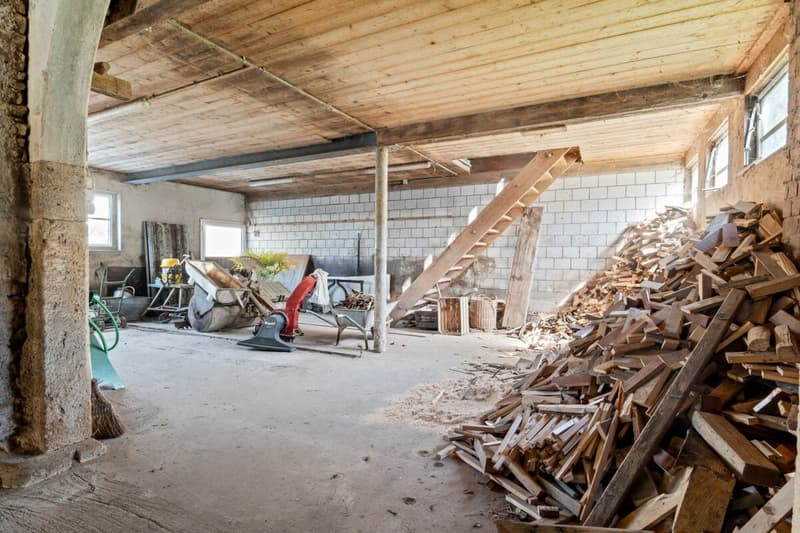 Wohnen im historischen Ursprung von Nusshof (24)