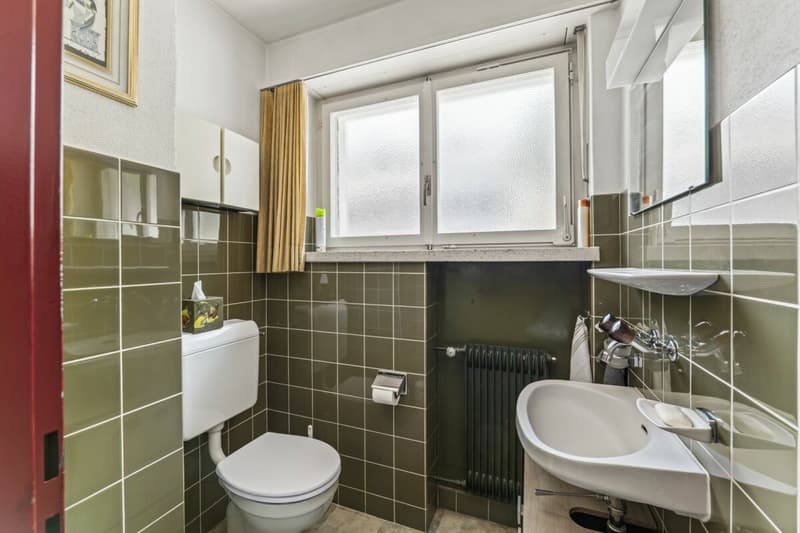 Einfamilienhaus mit Weitblick sucht Familie (11)