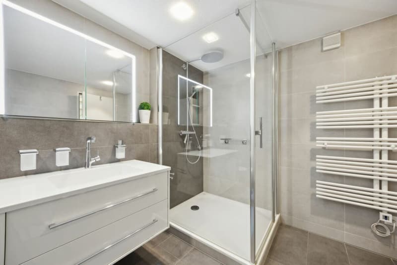 Maison mitoyenne dans un endroit calme et central (9)