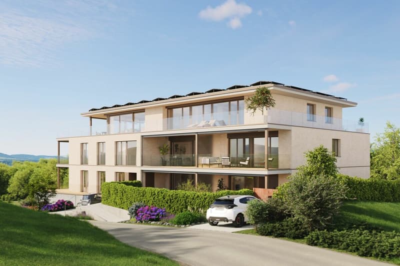 Neubau: 5.5-Zimmer-Maisonettewohnung West (Wohnung Nr. 1) (1)