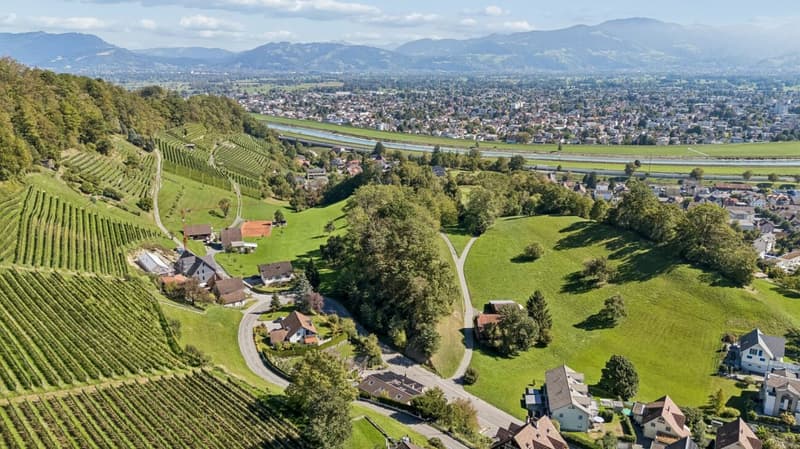 Maisonettewohnung mit Einliegerwohnung, Garten und Aussicht über das Rheintal (2)