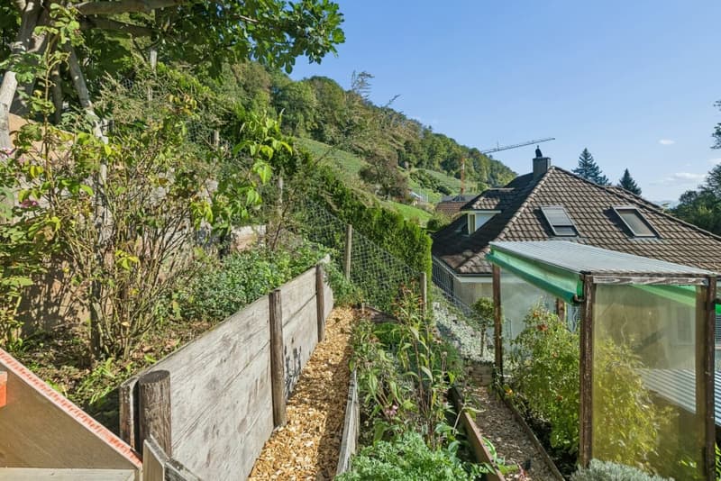 Maisonettewohnung mit Einliegerwohnung, Garten und Aussicht über das Rheintal (3)