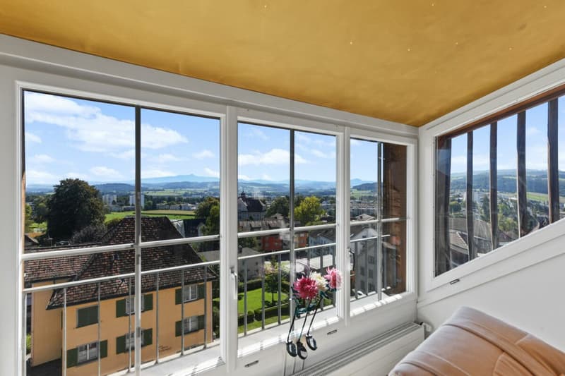 Charme et perspective - appartement-maisonnette unique dans le coeur de Wil SG (8)