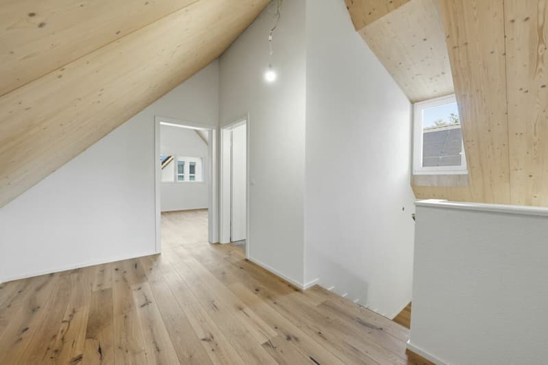 Modernes Doppel-Einfamilienhaus mit viel Platz, hochwertigem Ausbau und Garten in Stein am Rhein (19)