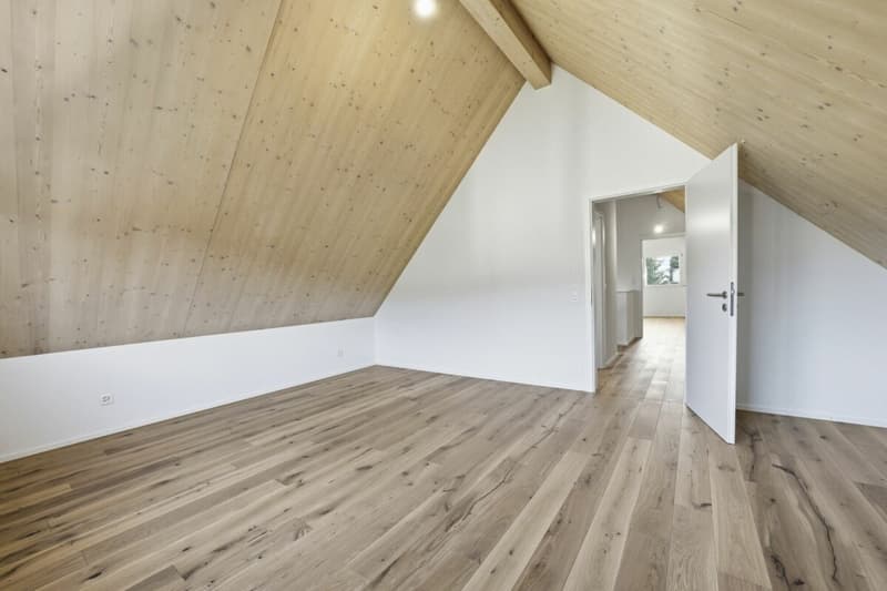 Modernes Doppel-Einfamilienhaus mit viel Platz, hochwertigem Ausbau und Garten in Stein am Rhein (23)