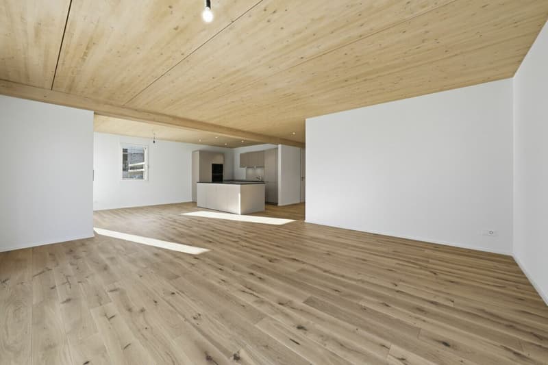 Modernes Doppel-Einfamilienhaus mit viel Platz, hochwertigem Ausbau und Garten in Stein am Rhein (30)